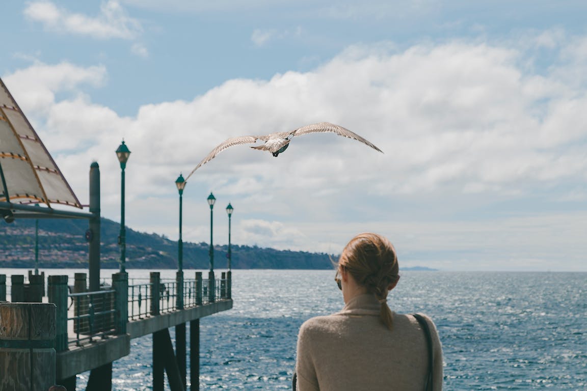 redondo beach pier